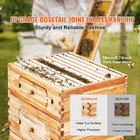 Bee Hive Langstroth Kit 20 Deep   20 Medium Frames With Acrylic Windows
