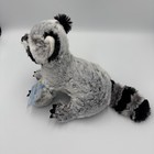 Webkinz Raccoon Hm143 Retired Plush New W Unused Code Nwt Smoke-free Home Read