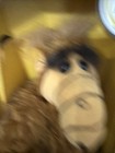 Vintage 1987 Coleco Wisecracking Alf The Outspoken Talking Alien