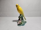 Vintage Radnor Canary On A Branch   Flowers Bone China Porcelain England