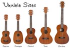 Ukelele Kit