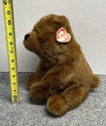 Ty Classic Woodson Brown Bear 11  Plush Stuffed Animal