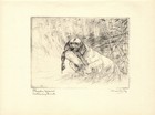 Antique Clumber Spaniel Print Vernon Stokes Hunting Dog Art Print 7093e