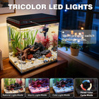 10 Gallon Glass Fish Tank  Aquarium Starter Kit  Simple Self-cleaning Aquarium W