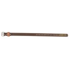 Klein Tools Cn1907arl Tree Climber Set 2-3 4   Gaffs 17  -21  