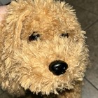 Ty Classic Baylee Brown Dog Beanie Floppy Laying Plush Stuffed 14 Inch 2017 Nwt