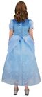 Little Pretends Deluxe Cinderella Princess Dress Up Pretend Costume  Blue