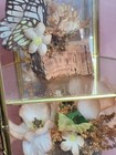 Vntg Butterfly   Floral Display In Glass   Brass Curio Cabinet