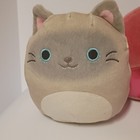 Squishmallows Small Plush Stuffed Animals Lot Of 5 Assorted Characters