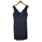 Ann Taylor Dress Size 0 Evening Cocktail Sheath Lace Lbd Special Event Sexy