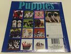 Puppies 2018 Calendar 16 Month Large 12  X 12  Dogs Doggies Doggy Pup