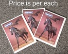 Breyer Horses 1997 Box Brochure 5  X 3 75 