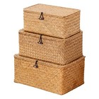  Storage Basket With Lid  Natural Seagrass Bin With Lid Set Of 3  Natural01