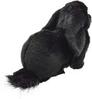 Bh8142 Hansa Holland Lop Black 33