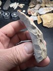 St Group 100  Authentic Archaic Indian Flint Knife Tool From Wolf Fam Coll