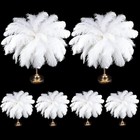 100 Pcs Large Natural Ostrich Feathers Plumes Bulk For Centerpiece 16-18 Inch   