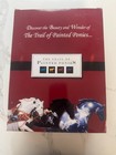 The Trail Of Painted Ponies Starlight 12308 1e Horse Figurine In Original Box