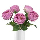  5pcs Roses Artificial Flowers Real Touch Latex Artificial Roses Fake Purple