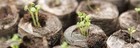 Peat Pellets 30mm Jiffy Fast Ship Lots-10 25 50 75 100 200 Growing Seed Starting