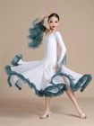 Girls One-sleeve Ballroom Dance Dresses Standard Dancing Performance Dance Dress