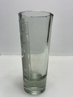 Cozumel Mexico Shot Glass Frosted Gecko Lizard Tall Shooter Souvenir Glass Mex