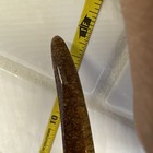 Vintage Big Sky Carvers Sc Ringneck Repose  Pheasant Wood