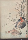 Vtg Japanese Woodblock Print Rooster Hen Chick Flowing Plum Tree 8  X 6  Framed