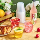 600 Pack 9 Oz Disposable Clear Plastic Cups  9 Oz Cocktail Cups