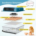 16 36 Egg Incubator Chicken Quail Hatcher Incubators Automatic Egg Turning Us