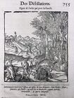 Ceylon Cinnamon 1614 Sri Lanka Distillation Engraving Ambroise Par  