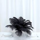 12 Pcs 13 -15  Long Genuine Ostrich Feathers For Wedding Party Centerpieces Sale