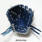 Rawlings Hoh Pro Excel Gr5fheca15w 11 75  Pitcher Glove Rht Royal 2025 New Model