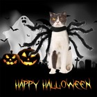 Pet Scary Black Spider Dress  Holiday Cosplay Dress Up Halloween Costume For Cat