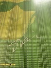 Steve Vai Signed Ernie Ball matrix Poster