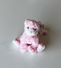 Ty Beanie Babies Carnation Pink Kitten Cat 8  In Protective Case Nwt Vintage