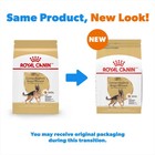 Royal Canin Breed Health Nutrition German Shepherd Adult Dry Dog Food  30-lb Bag