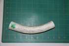Medium Upper Elk Antler Dog Chew  6   Bone Chews Moose Treats Deer 507