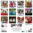 Doug The Pug   Dory 2026 12  X 12  Wall Calendar  free Shipping 