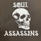 Soul Assassins Old Eng 92 Skull Logo Turntable Dust Cover Dj Muggs Cypress Hill