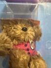 Vintage 2000 Nsync Justin Timberlake Limited Edition Pink Teddy Bear  2 New