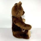 Vintage Steiff Original Teddy Bear Mohair Growler 0206 36 Dark Brown W  Germany