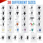 1295pcs Car Bumper Retainer Auto Fasteners Body Plastic Trim Clips Pin Rivet Kit