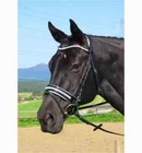 Designer Clear Crystal With Padding Horse Leather Browband For Bridle  