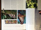 Australia 1996 Stamp Year Book    Mint Nh Stamps  In Great Condition