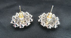 Masonic Oes Order Of The Eastern Star Rhinestone Enamel Stud Earrings