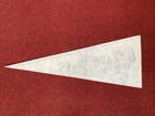 Vintage Albany Polecats Minor League Baseball Full Size Pennant Milb Rare