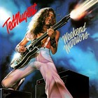 Ted Nugent Weekend Warriors Banner Huge 4x4 Ft Fabric Poster Flag Album Cover