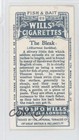 1910 Wills Cigarettes Fish   Bait Tobacco The Bleak  23 0pl9