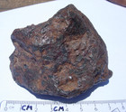 545 Grams Campo Del Cielo Iron Meteorite With A Certificate Of Authenticity
