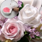 Silicone Cake Decorating Tools Fondant Chocolate Mould Biscuits Silicone Mold